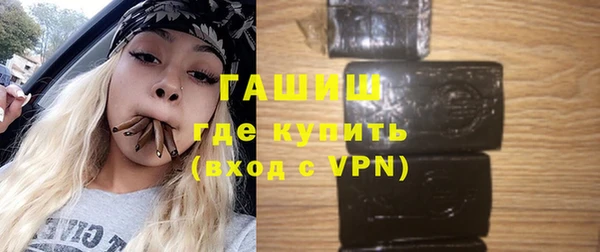 амф Ельня