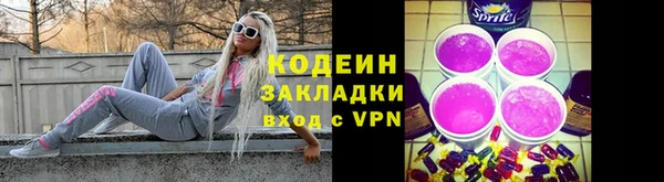 амф Ельня