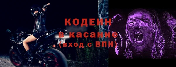 амф Ельня