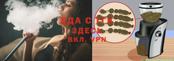 амф Ельня