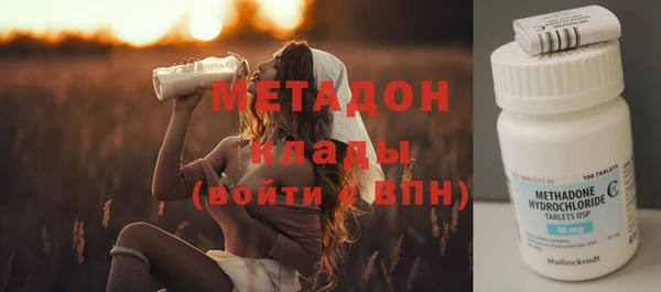 амф Ельня