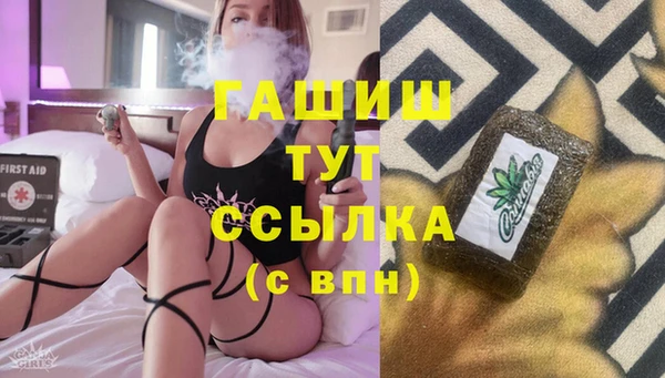 амф Ельня