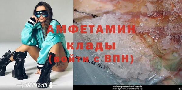амф Ельня