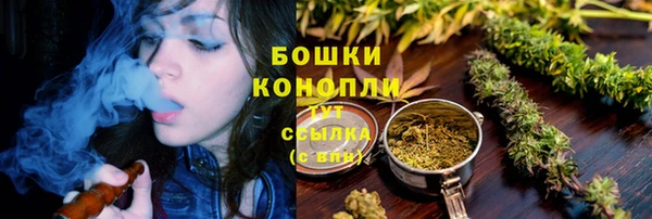 твердый Елизово