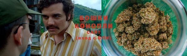 амф Ельня