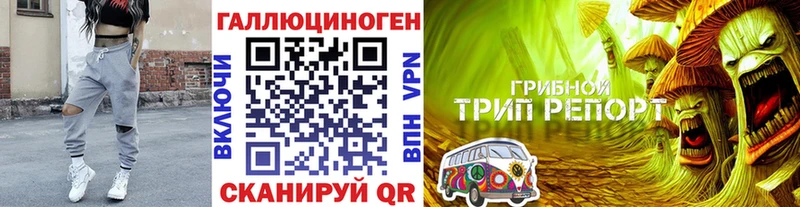 Галлюциногенные грибы Psilocybe  Новочеркасск 